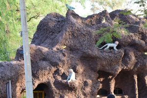 at the zoo