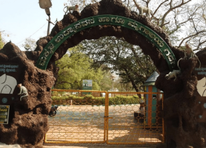 gadag zoo